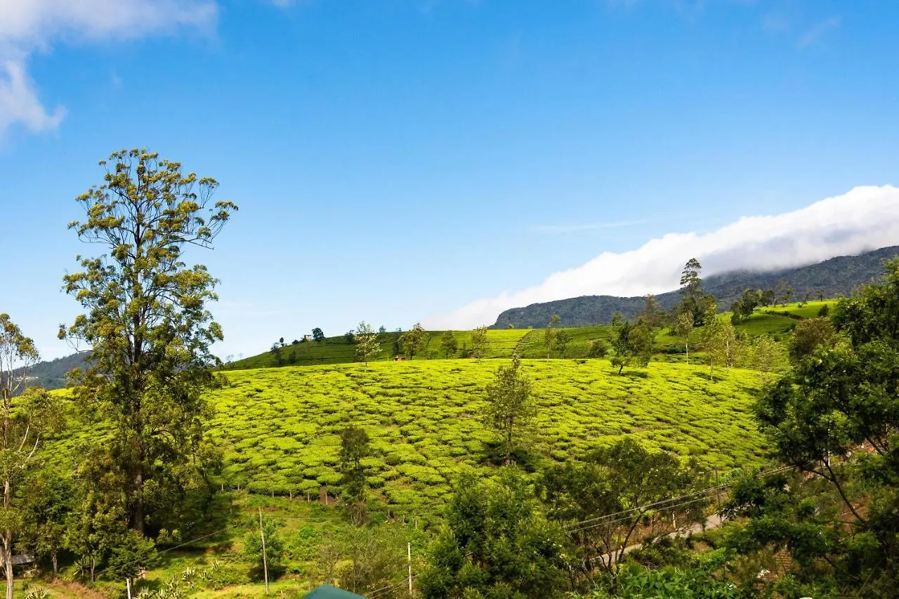 Lakeville Residence Nuwara Eliya 0*,  Sri Lanka